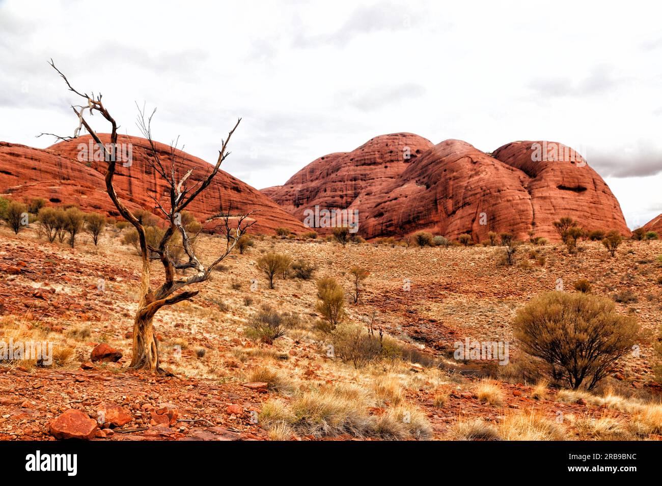 Amazing travel around fantastic places of the land down under (Australia) Stock Photo