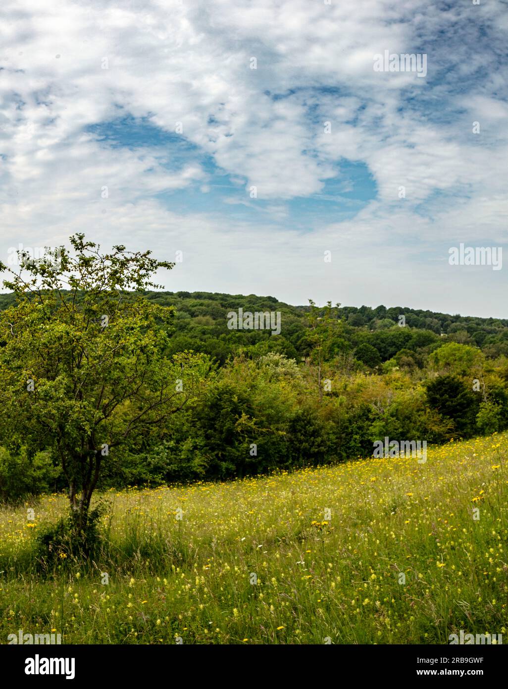 Environmentally important open space landscape in the Surrey Hills Area of Outstanding Natural Beauty, around South London, England, Europe Stock Photo