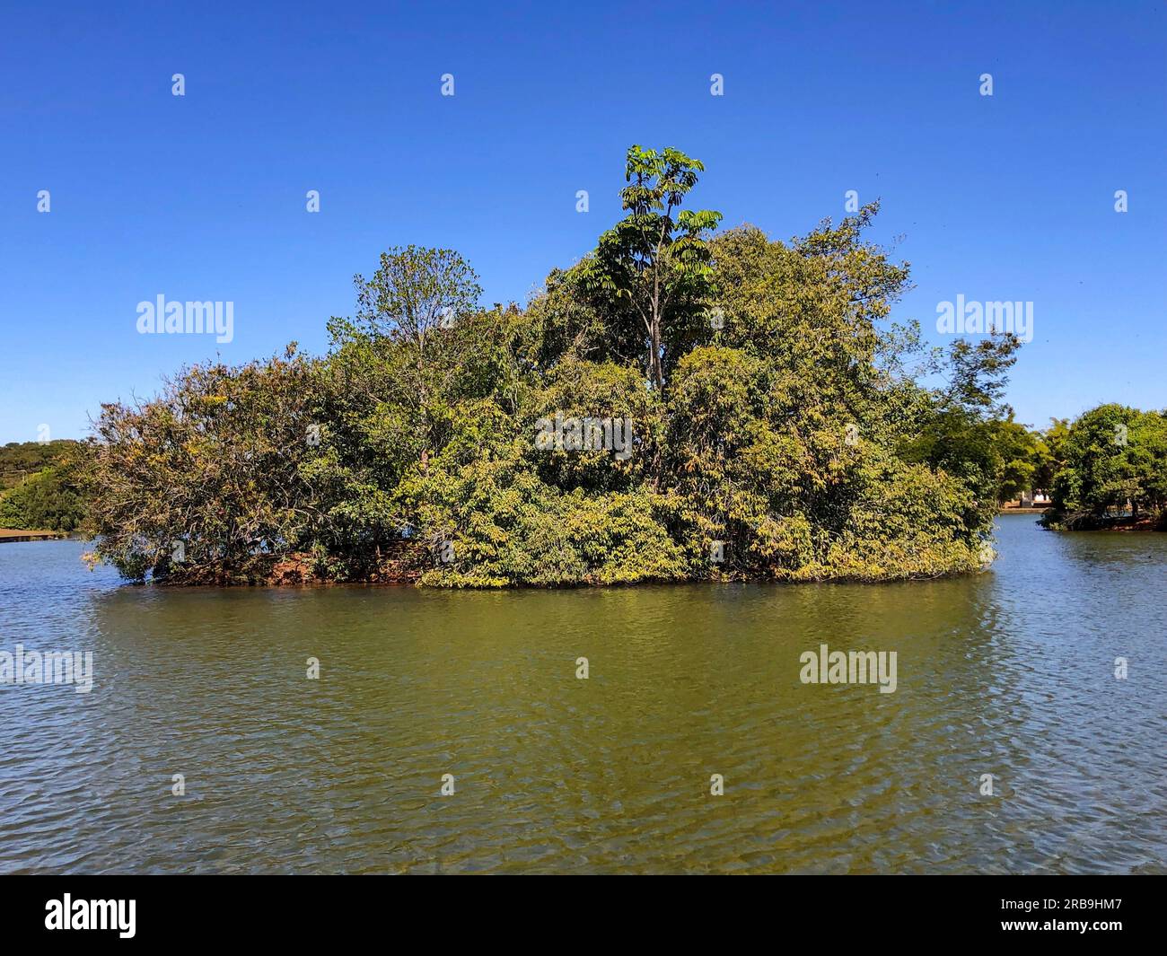 Small tropical island in the middle of freshwater lake Stock Photo Alamy