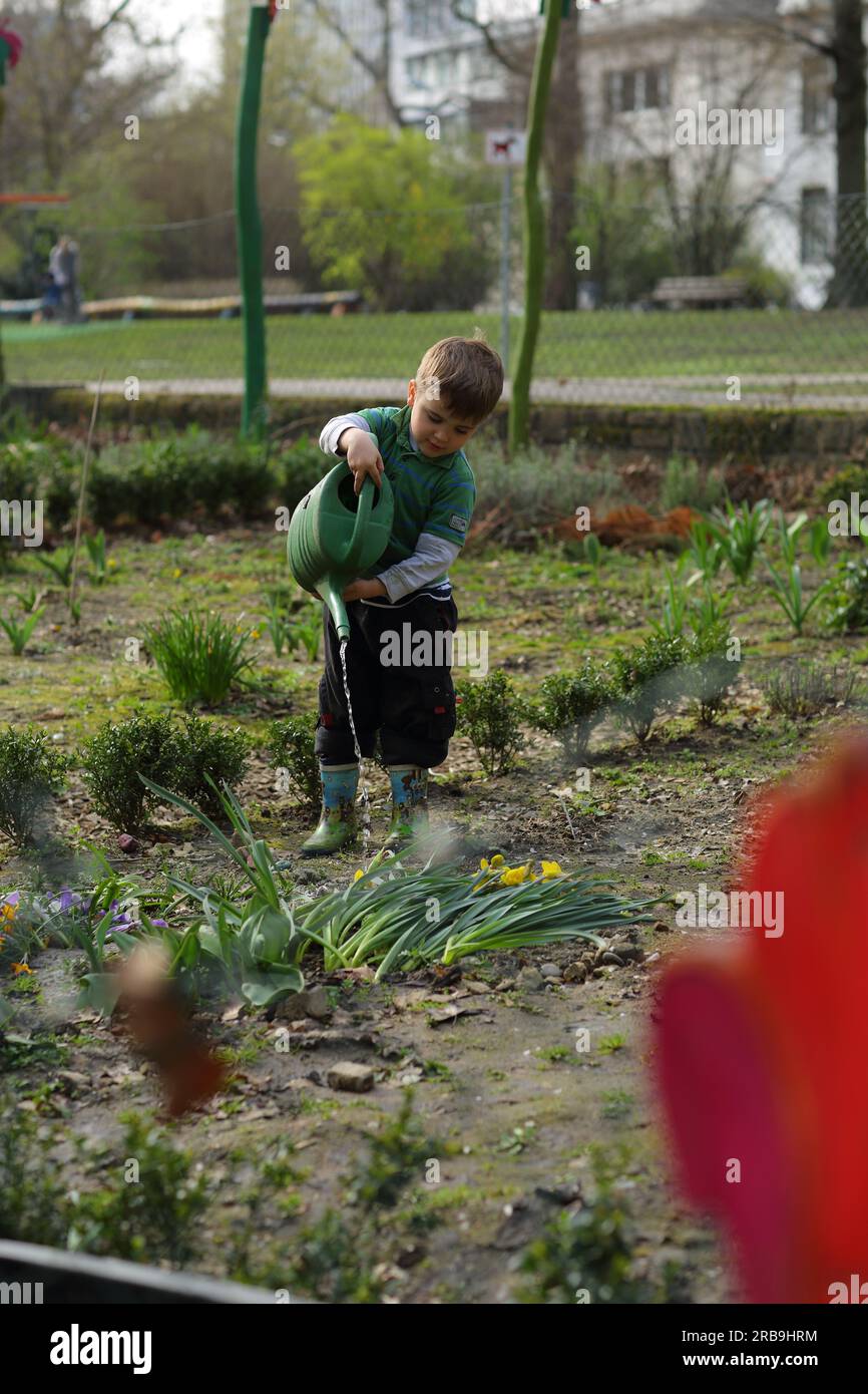 Boy watering plants in garden hi-res stock photography and images - Alamy