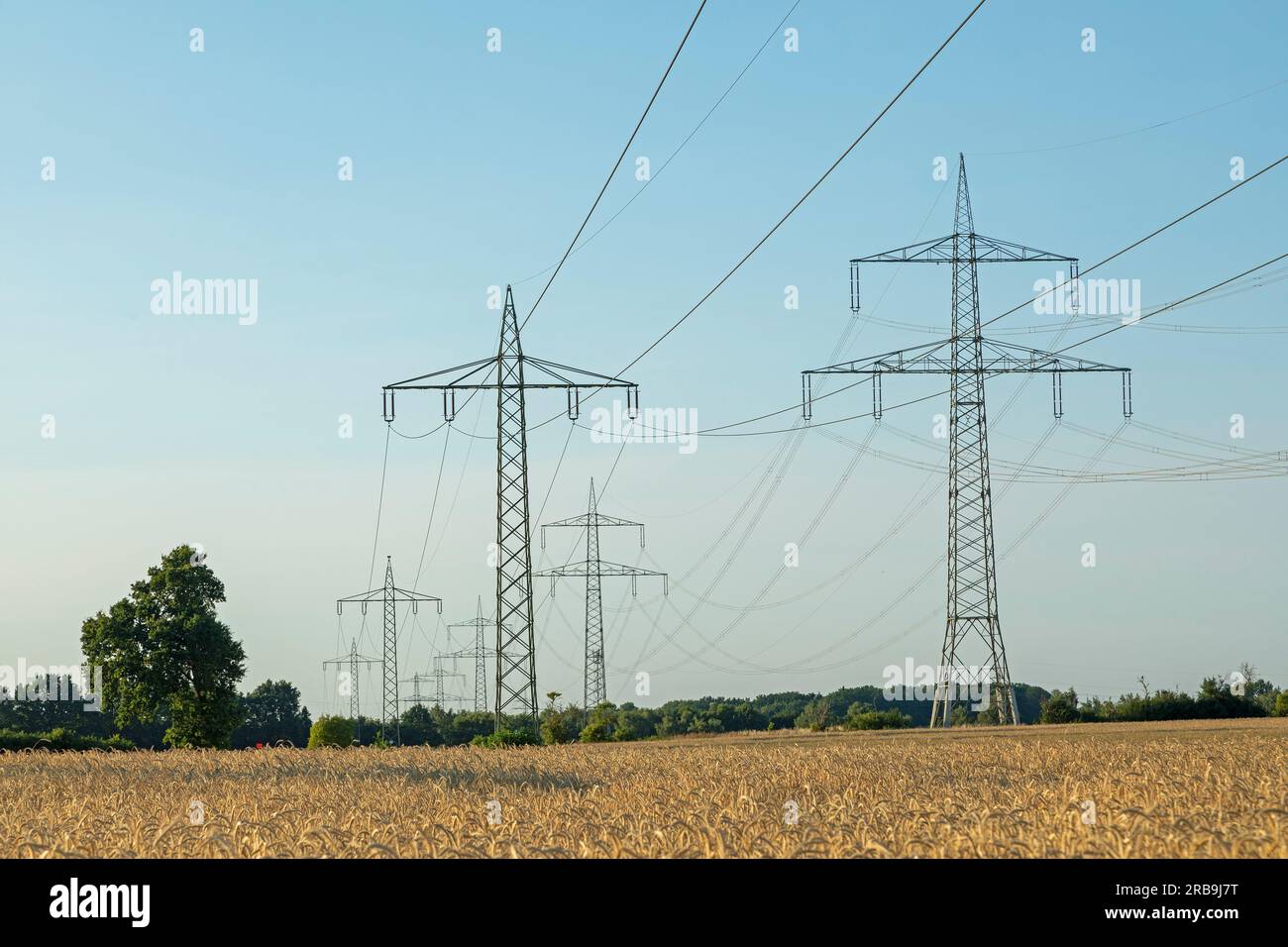 Pylons, cornfield, Melbeck, Ilmenau joint community, Lower Saxony, Germany Stock Photo