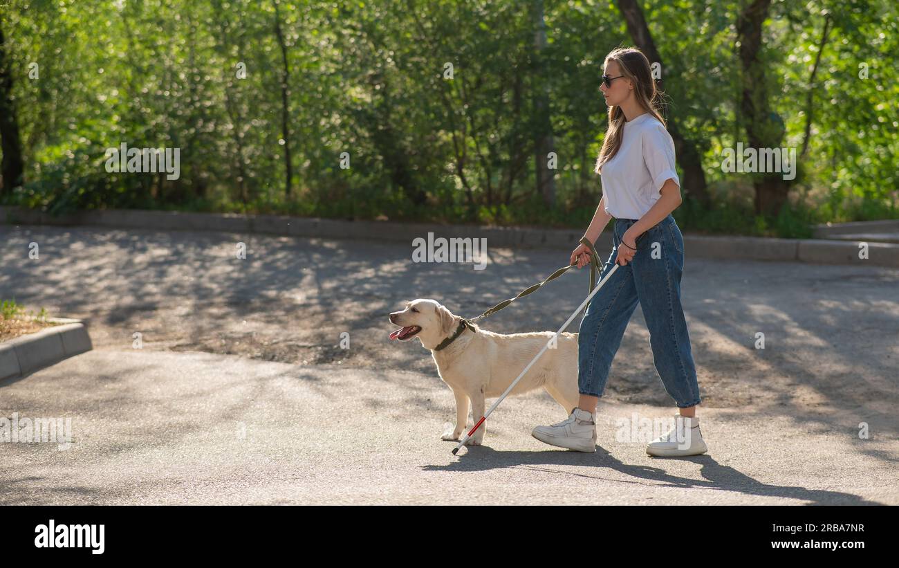 Blind woman walking with guide dog in the park Stock Photo - Alamy