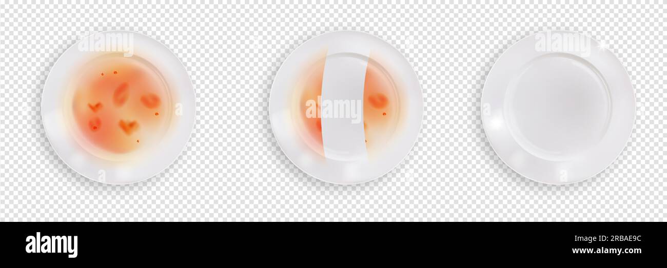 Dirty and clean realistic plates, process of cleaning dish from leftovers of food. Top view of