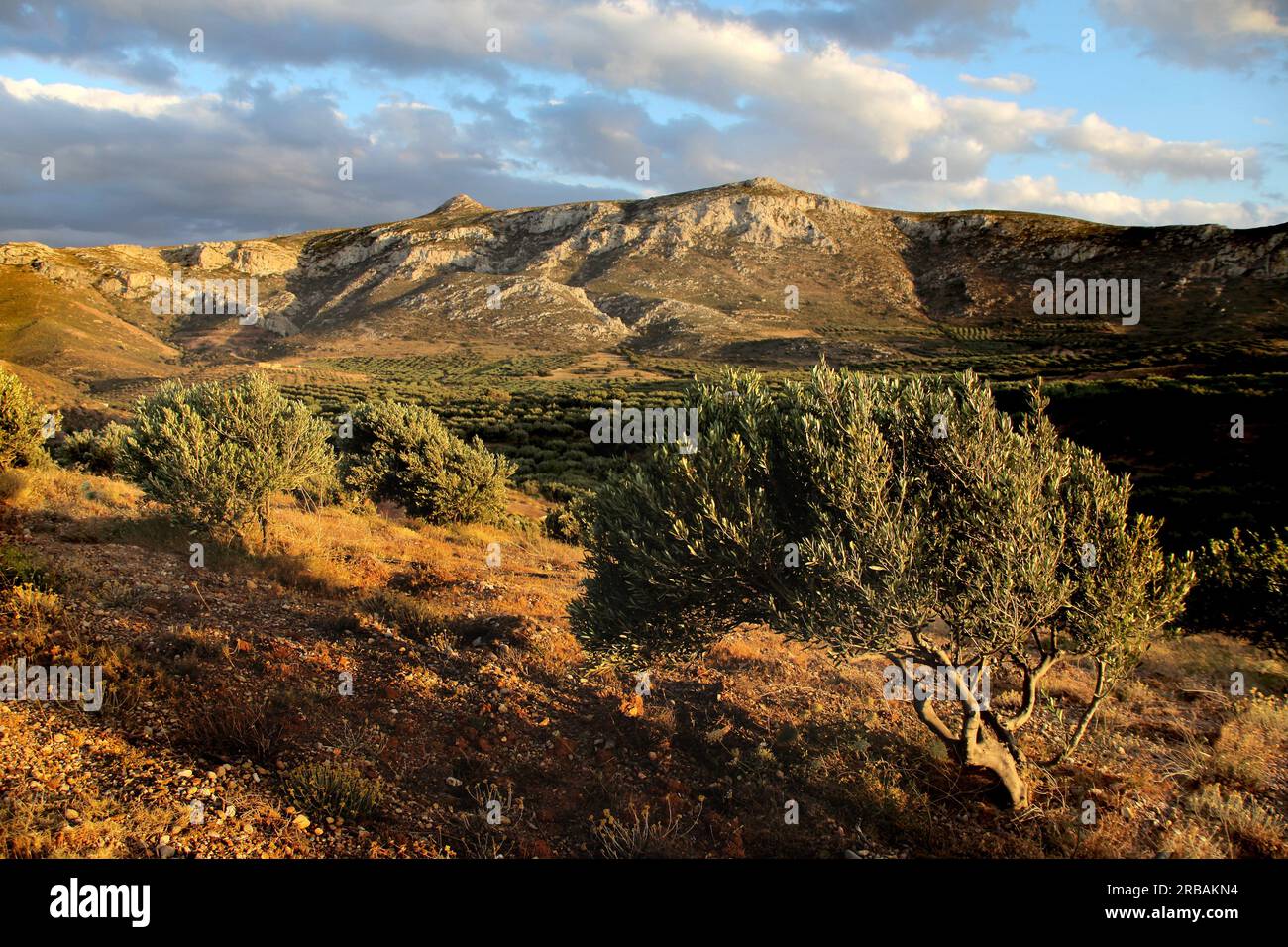 Palekastro surroundings, Crete Island, Greece Stock Photo