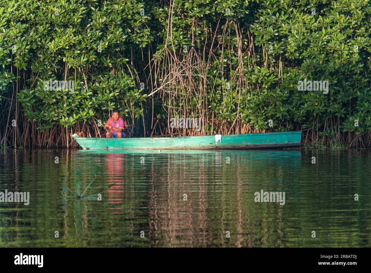 Monterrico Mangrove Reserve, Guatemala Stock Photo