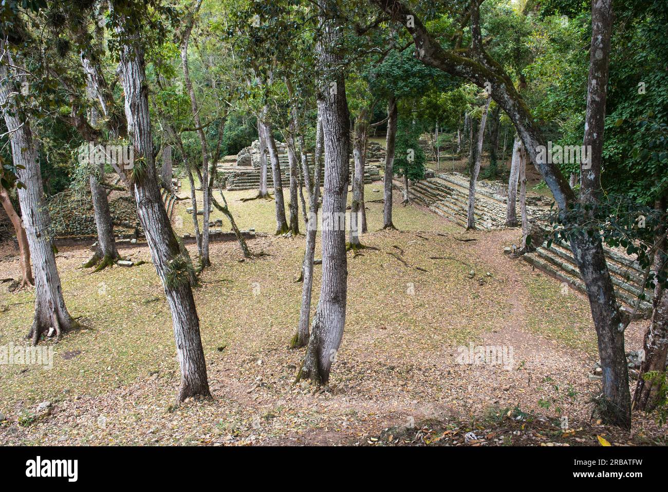 View of Area Residencial and El Cementerio, upper class residential area and burial site, Sitio Arqueologico de Copan, Copan Ruinas, Honduras Stock Photo