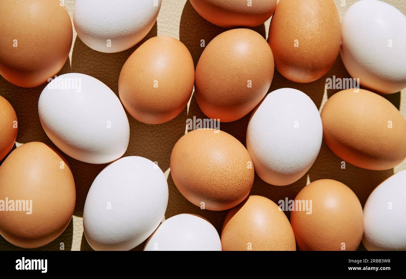 Chicken eggs white and brown background. Close up, top view Stock Photo