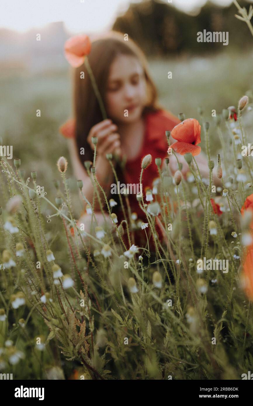 Girl in a red dress in a poppy meadow Stock Photo - Alamy