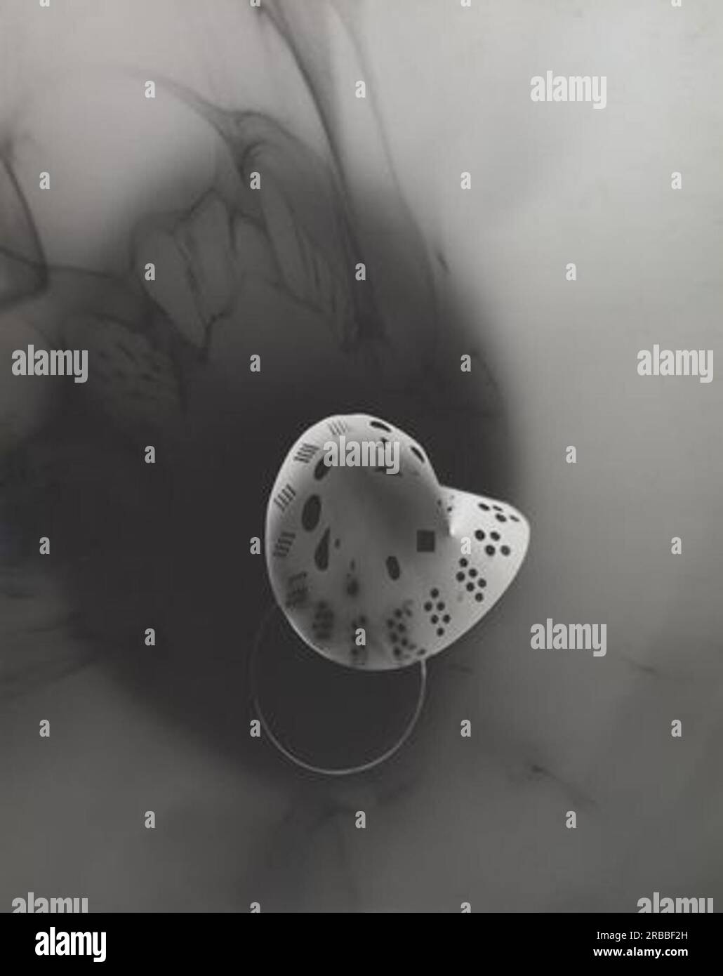 Moholy Photogram Shell Moholy nagy photogram hi-res stock photography and images - Alamy