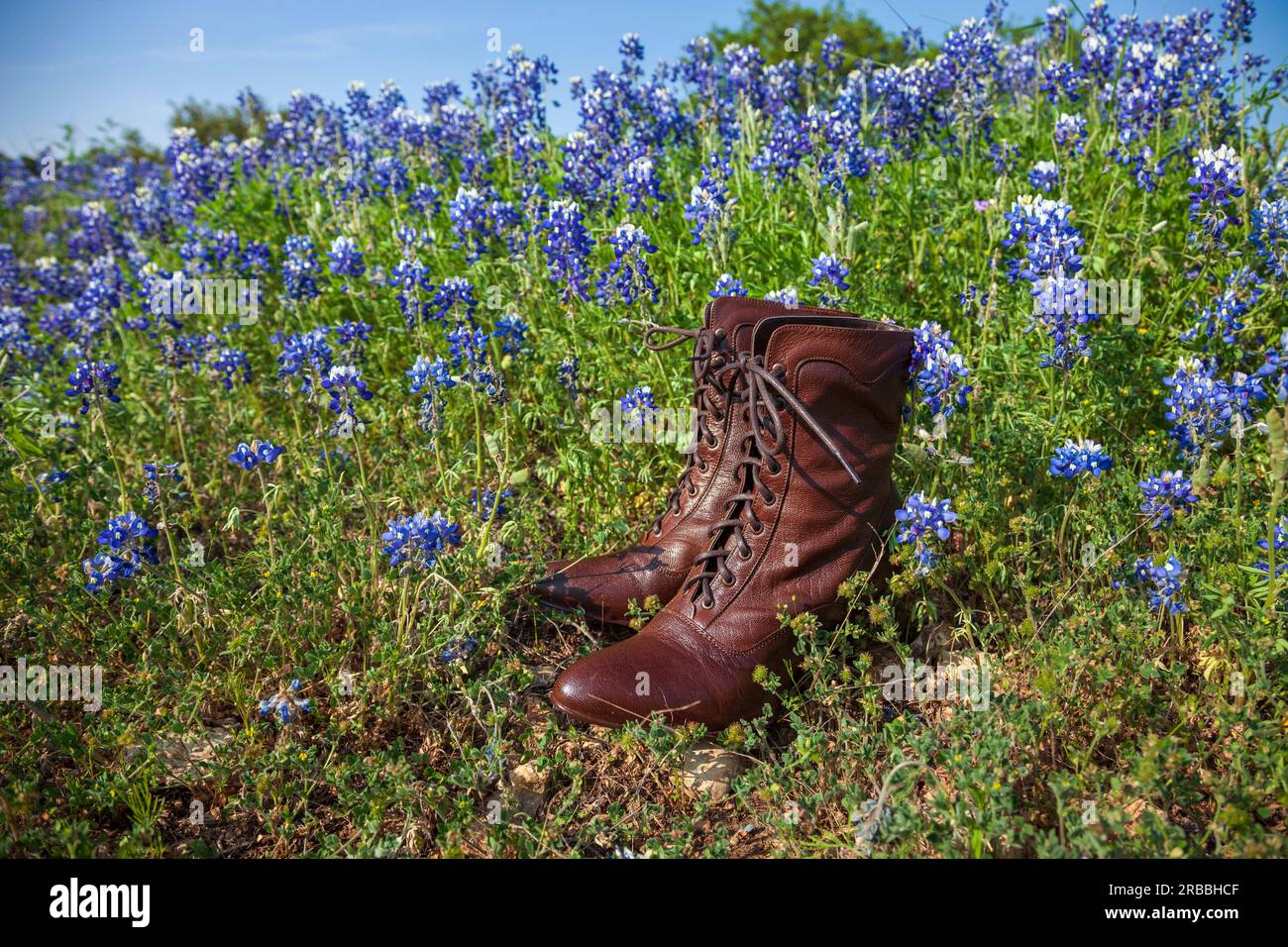 Womens brown leather vintage style shoes in a field of Texas Hill Country Bluebonnets Stock Photo