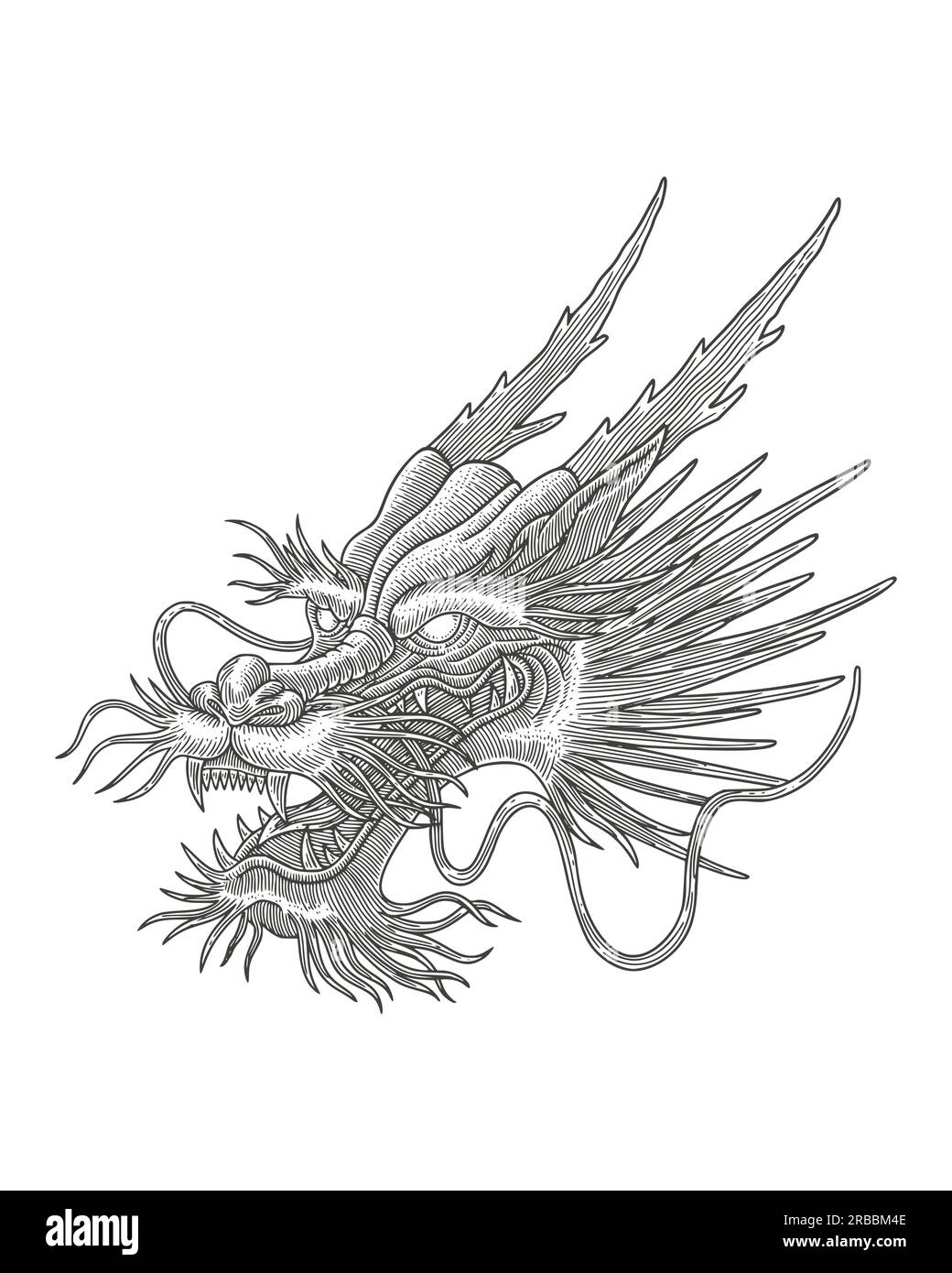 Dragon Head Drawing Stock Illustrations – 10,406 Dragon Head Drawing Stock  Illustrations, Vectors & Clipart - Dreamstime