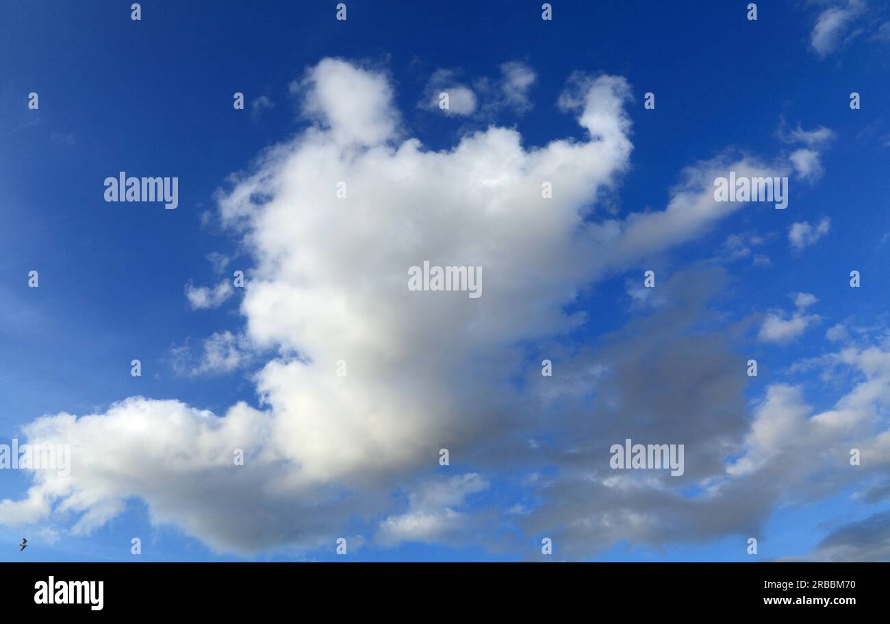 White cumulus cloud, clouds, blue sky, meteorology, weather, England Stock Photo
