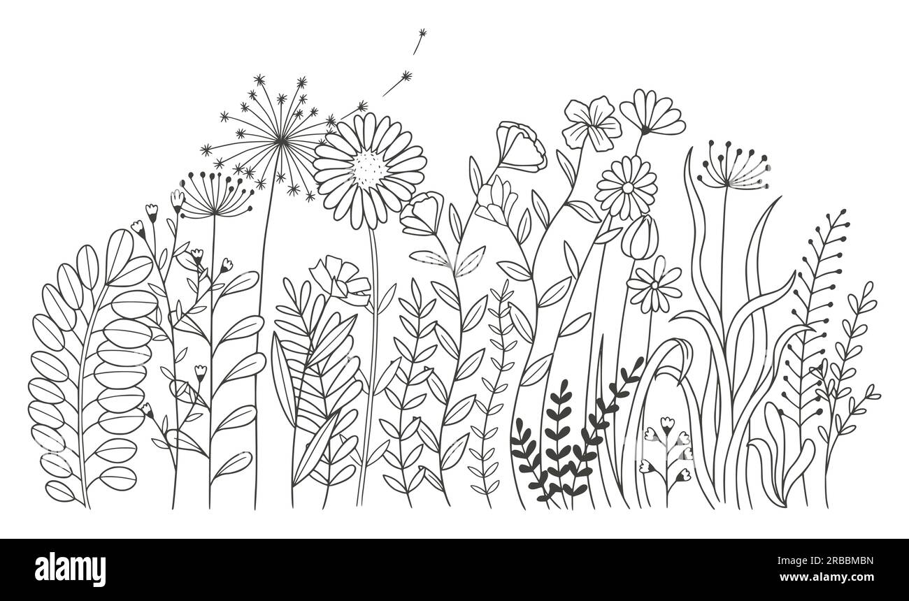 Beautiful flowers isolated on white background. vector illustration ...