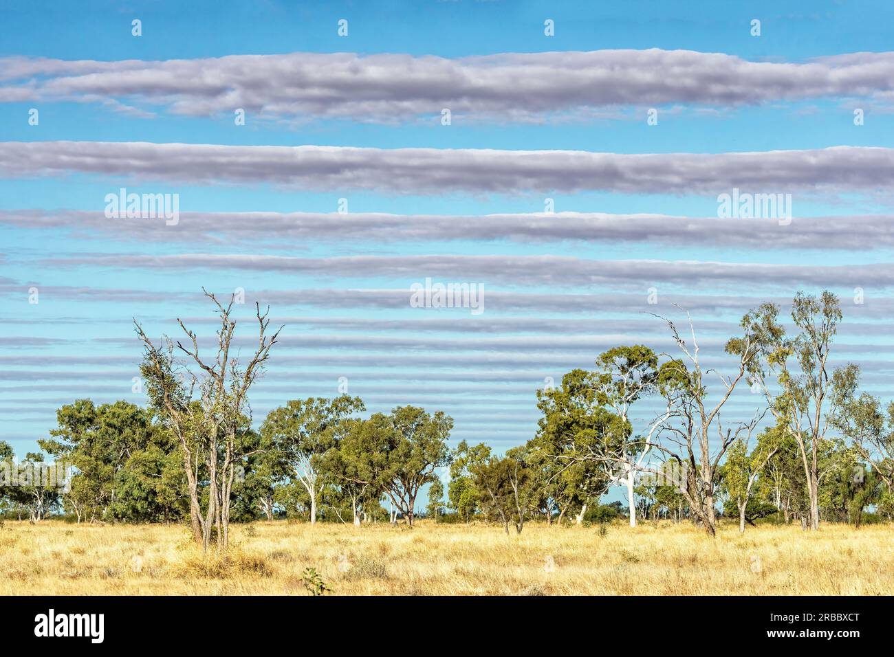 Altocumulus stratiformus undulatus or Wave Clouds in the Australian Outback, Dajarra, Queensland, QLD, Australia Stock Photo