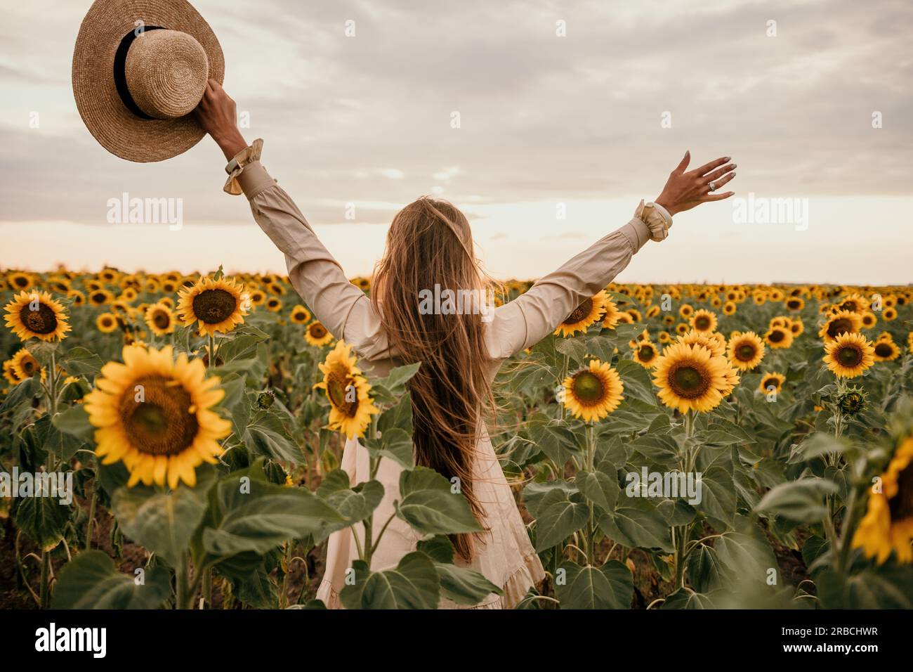 Girl Putting On A Straw Hat In A Sunflower Field Photograph by