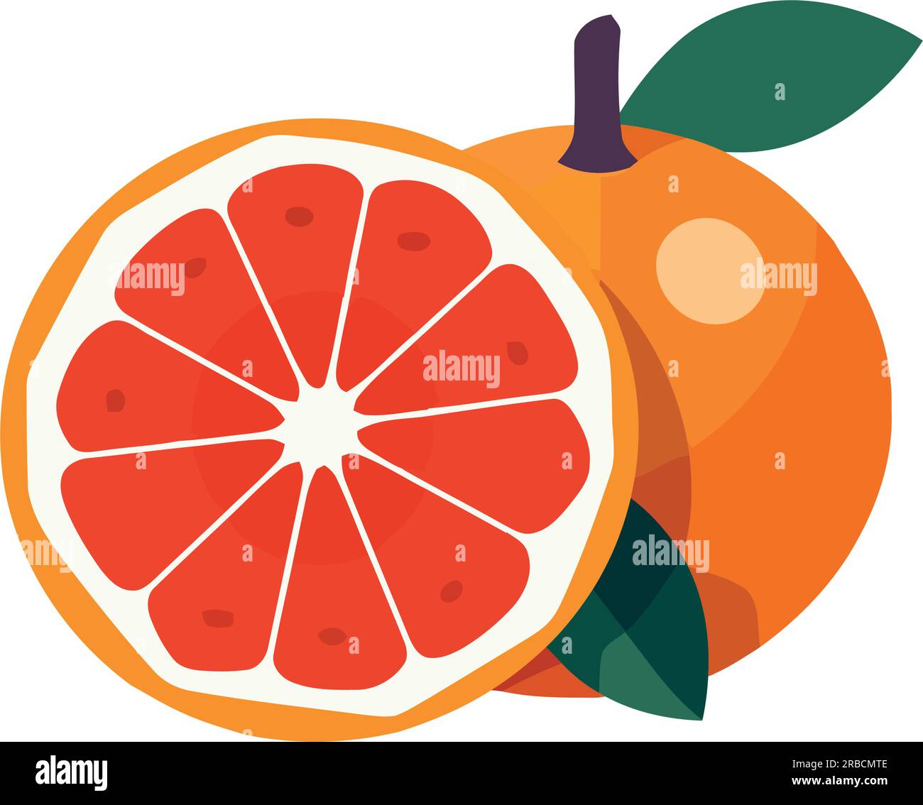 Juicy grapefruit slice symbol of freshness Stock Vector Image Art Juicy grapefruit slice symbol of freshness Stock Vector Image Art