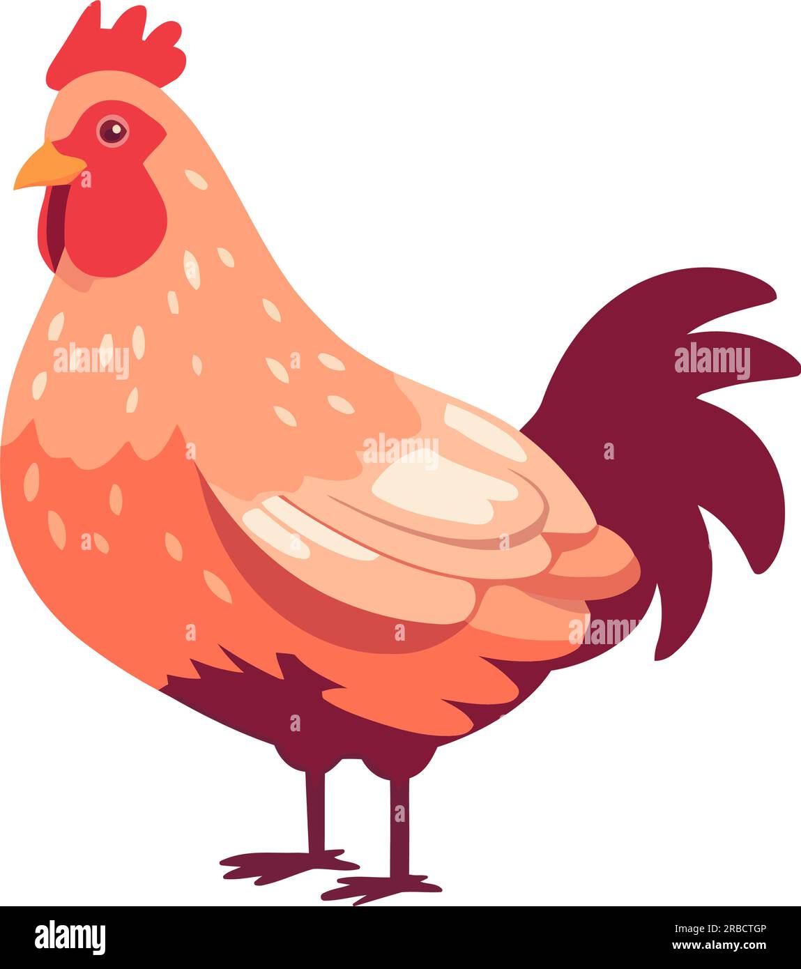 Vector Cockerel Cockerel at dawn Stock Vector Images - Alamy