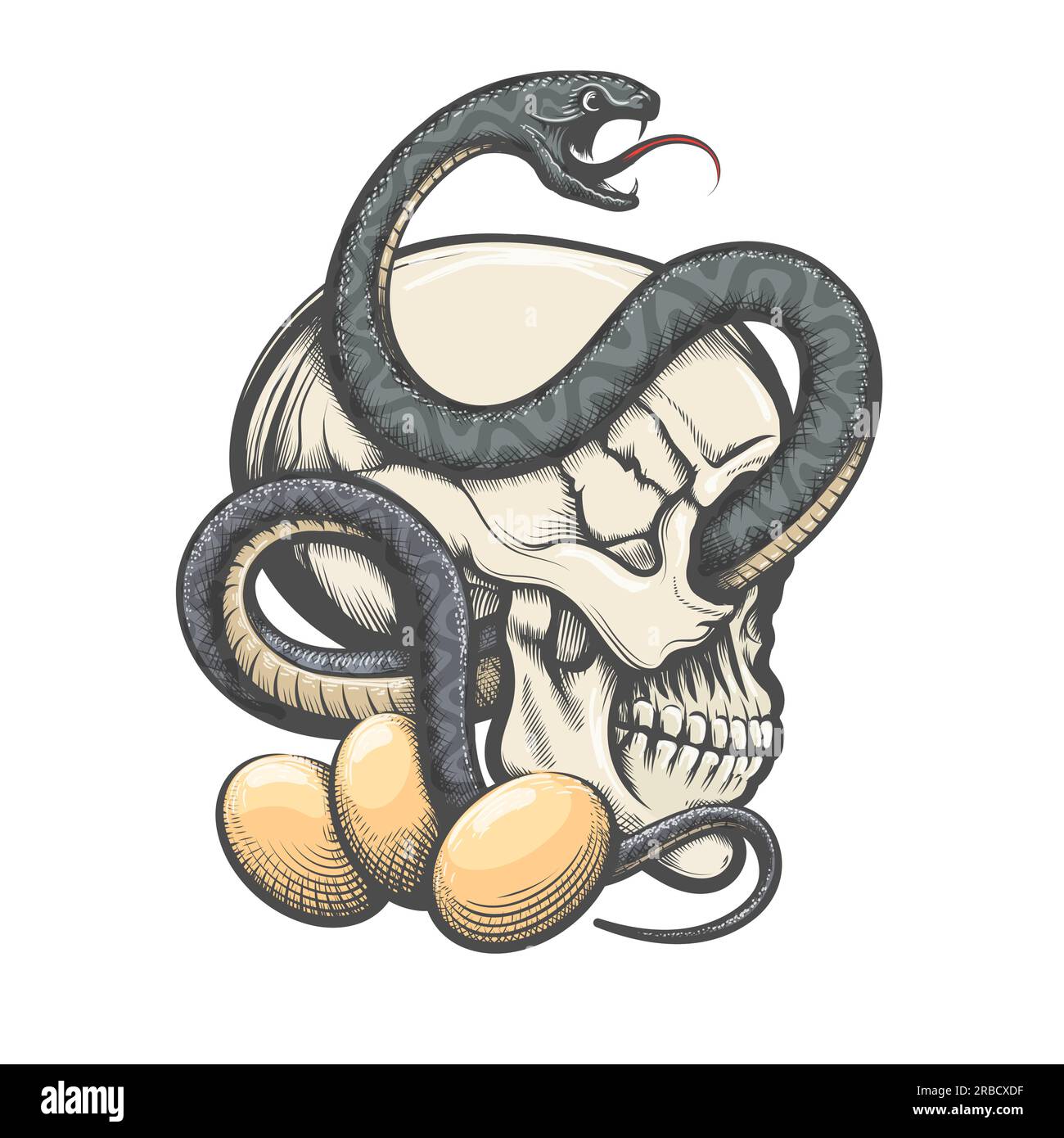 Skull and Snake with snake Eggs Engraving Colored Tattoo isolated on white. Vector illustration Stock Vector