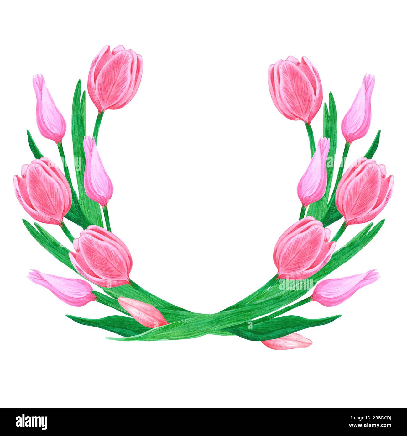 Hand drawn watercolor pink tulips wreath on white background. Scrapbook ...