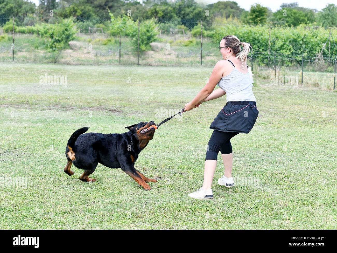 Woman rottweiler hi-res stock photography and images - Alamy