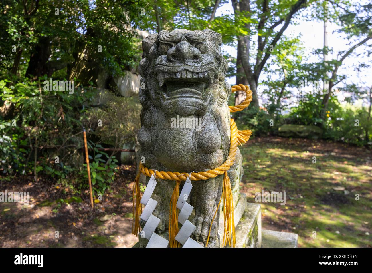 Komainu, or liondog, statue with shimenawa rope and shide at