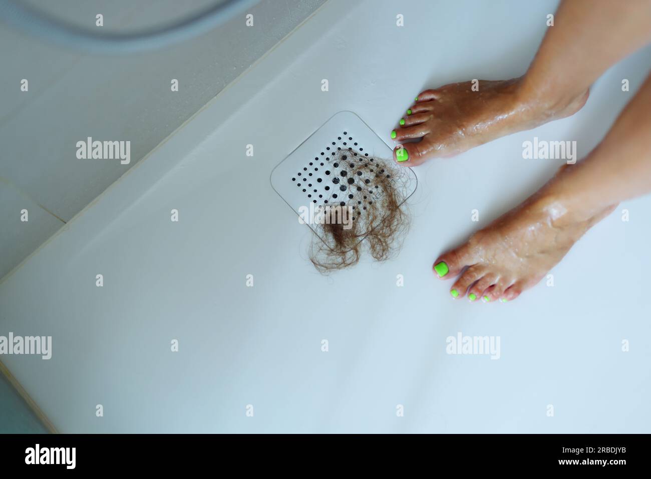 Hair bunch in white tile shower drain. Long hair pile falling down in bathroom. Hair loss