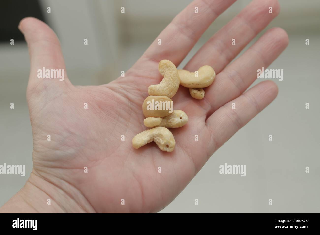 palm with handful of cashew nuts Stock Photo Alamy