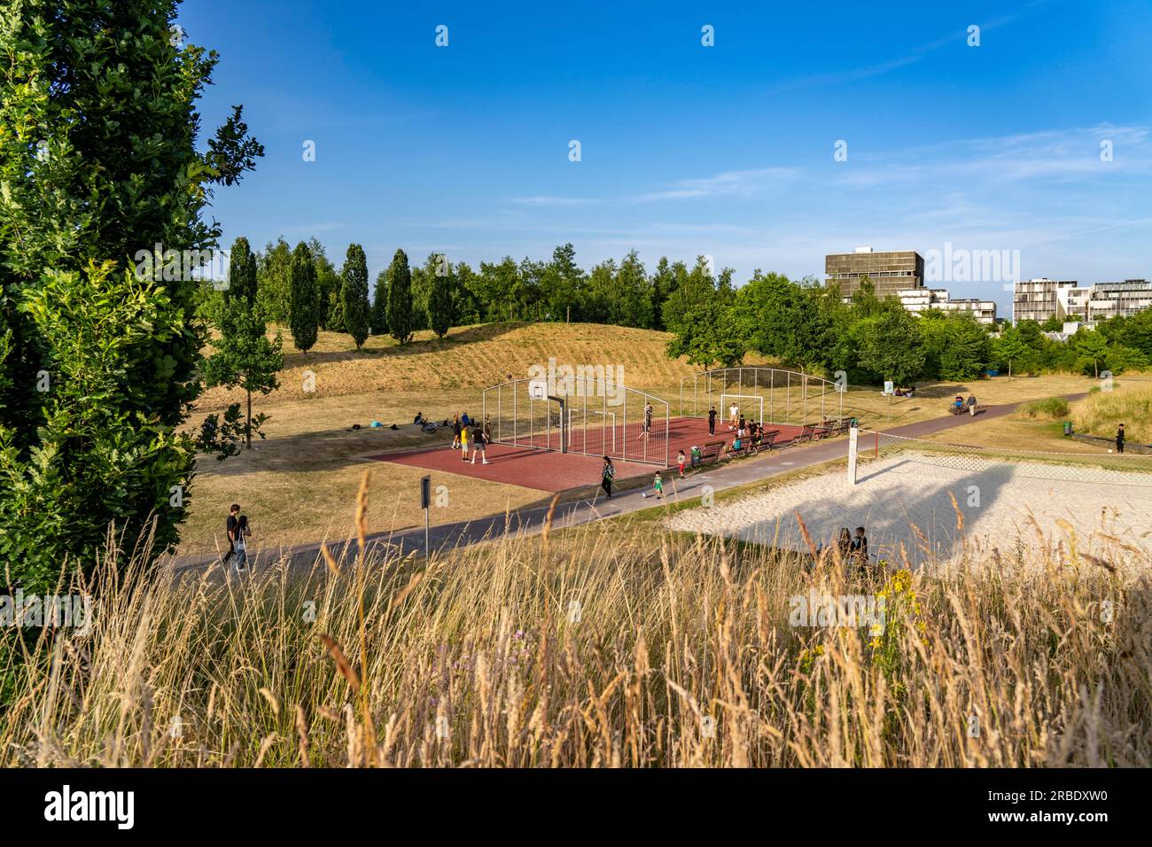 mariä himmelfahrt essen altendorf