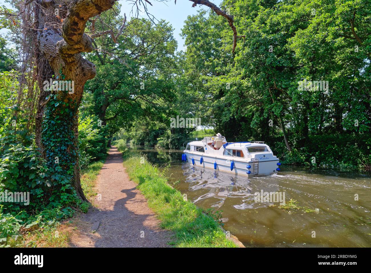 A private leisure boat cruising along the River Wey navigation canal on a sunny summers day Pyrford Surrey England UK Stock Photo