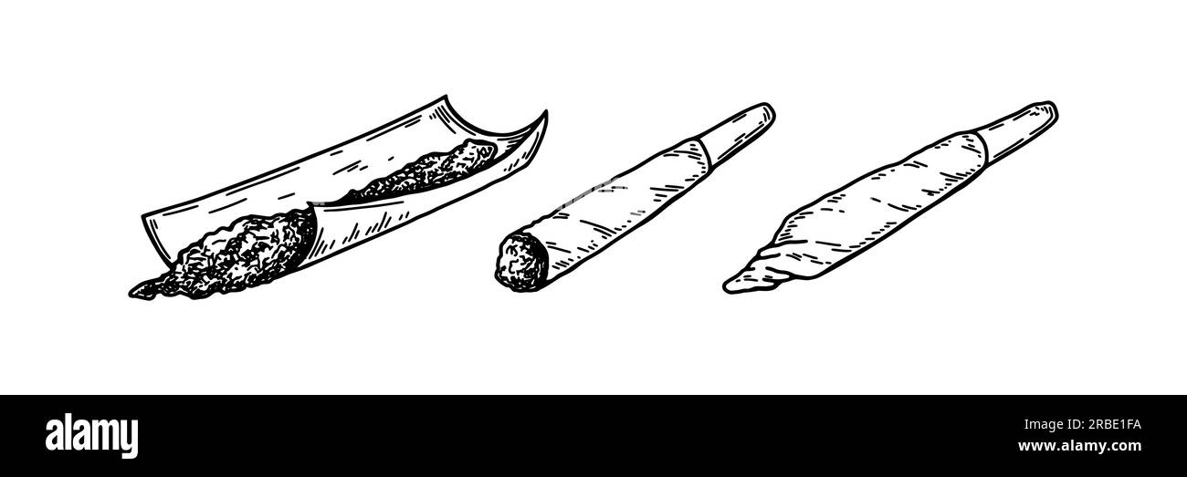 Cannabis joint set. Hand drawn marijuana spliff. Vector illustration in sketch style Stock Vector