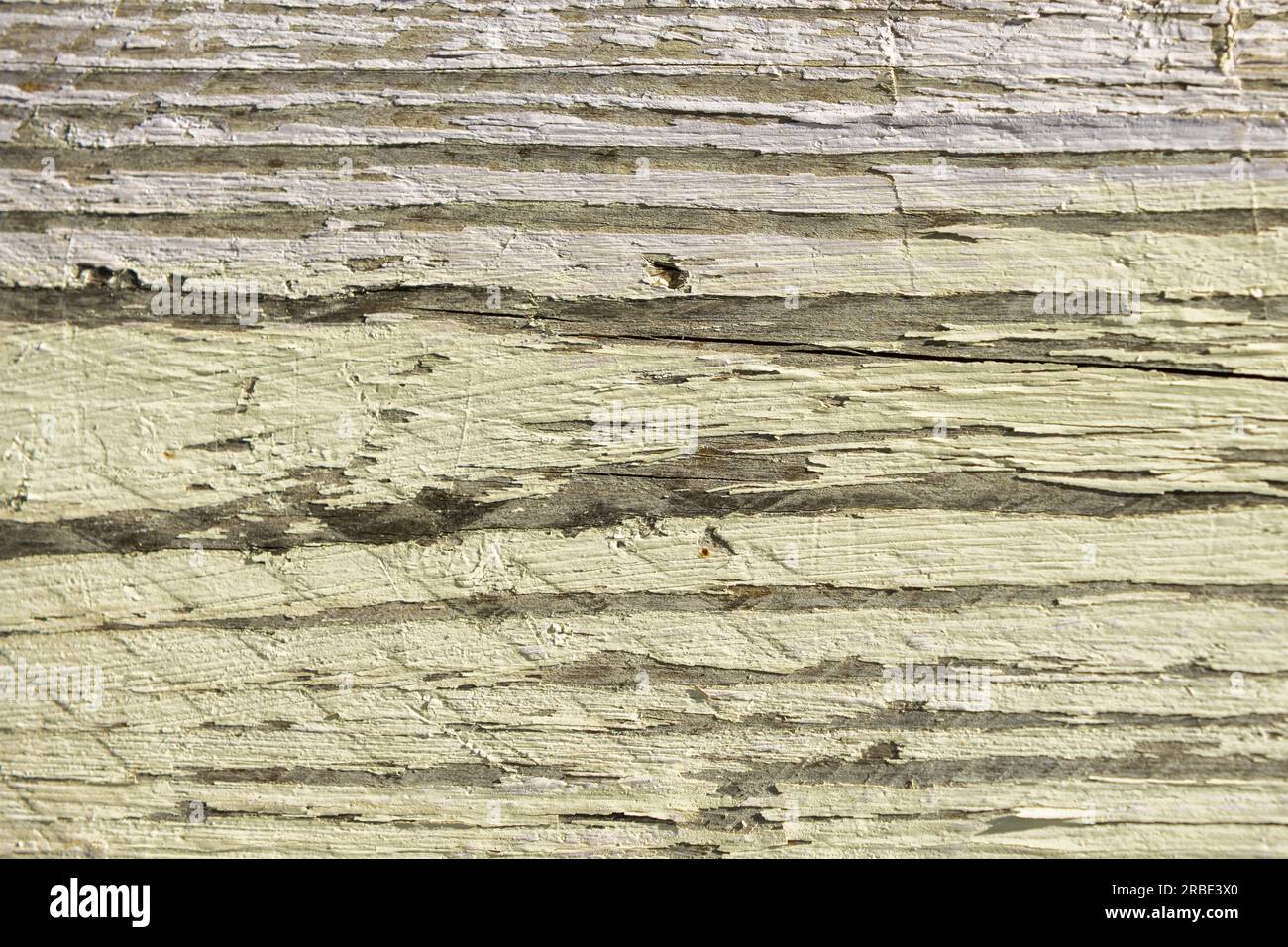 A plank of wood with peeling two-tone paint. vector wood texture background Stock Photo