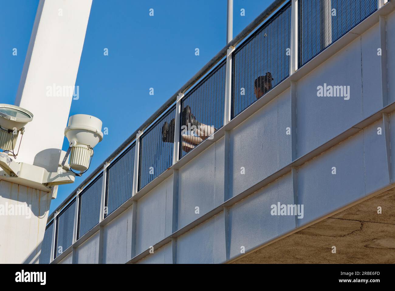 Brilliant white against a blue sky, a steelpanel arch soars above the