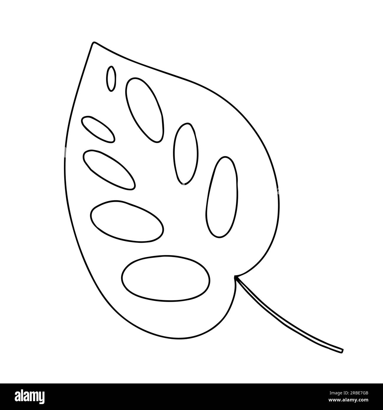 Monstera leaf doodle sketch Stock Vector Image & Art - Alamy
