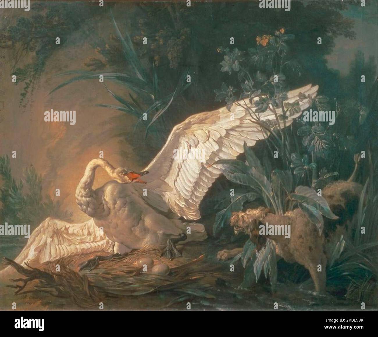 Barbet dog attacking a swan in its nest by Jean-Baptiste Oudry Stock Photo