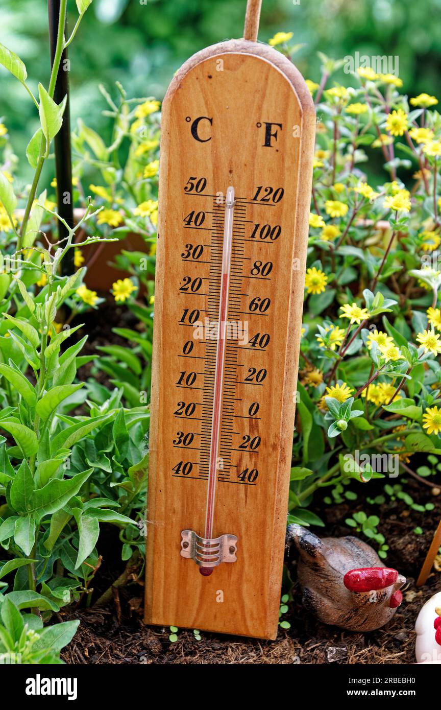 Outside garden thermometer hi-res stock photography and images - Alamy