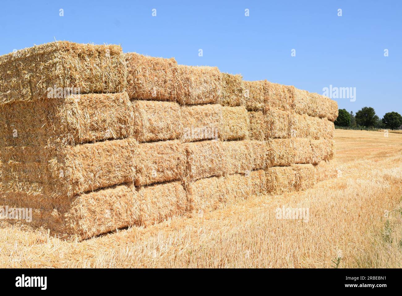 straw bales at the roadside Stock Photo Alamy