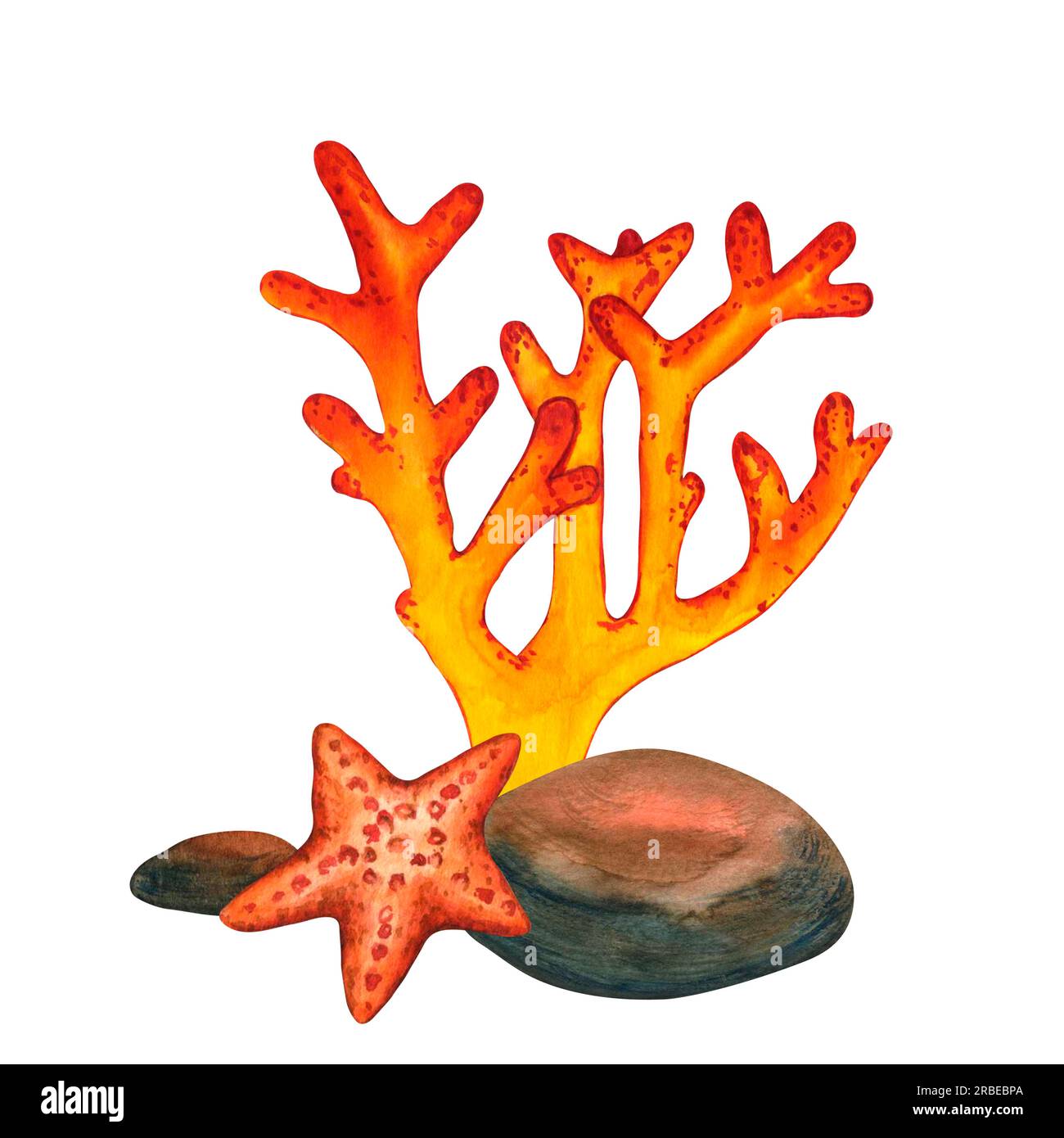 Watercolor illustrations red coral reef, starfish and underwater stones