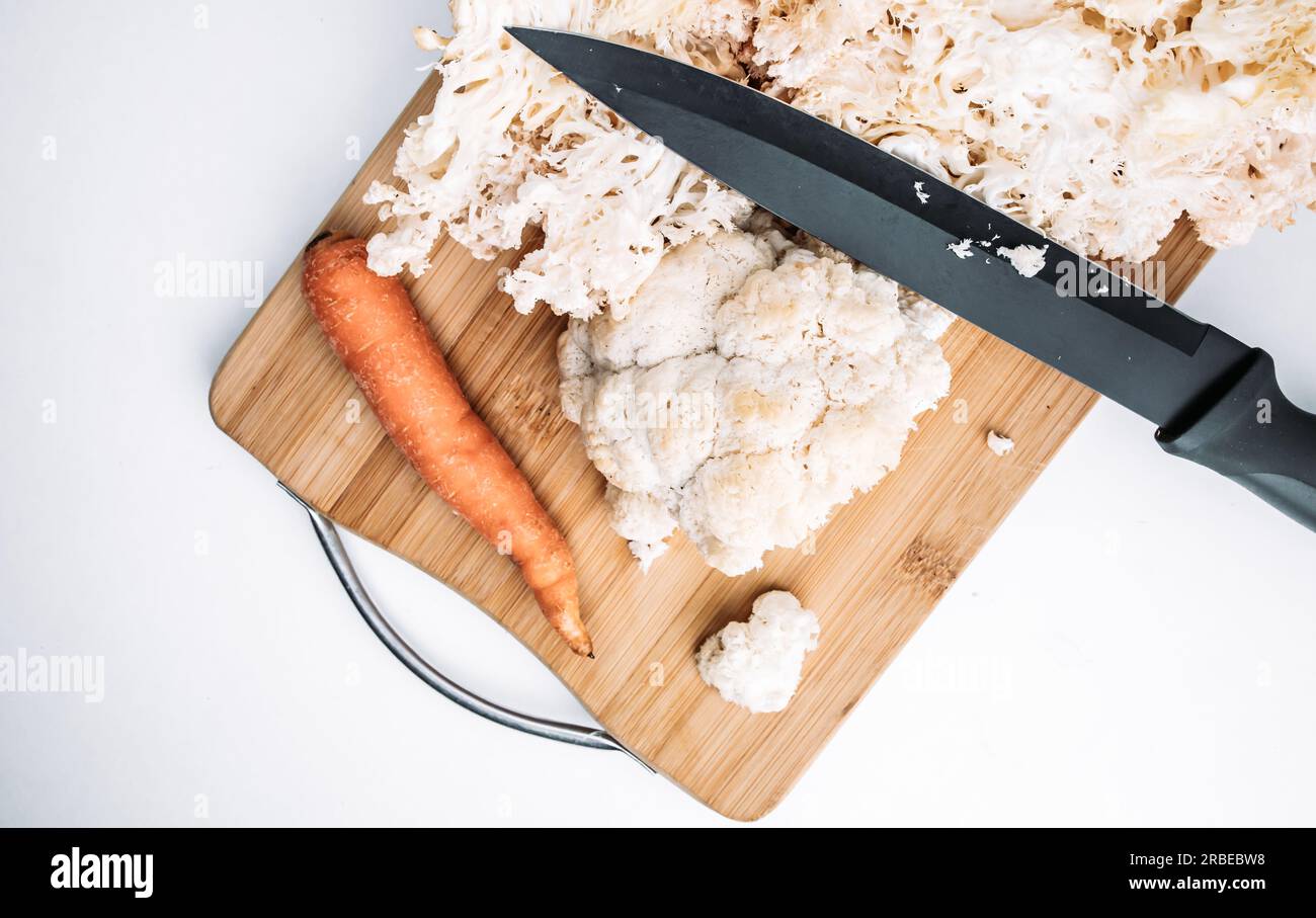 Hericium erinaceus or Lions mane mushroom with a knife and carrot. Medical mushroom concept Stock Photo