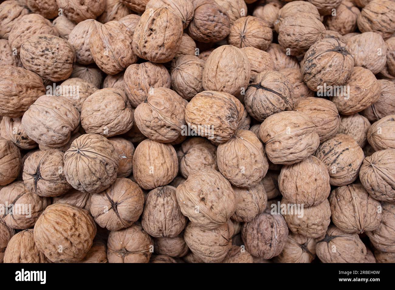 Large pile of vibrant walnuts in shells, delicious dry nuts popular for their nutrient-rich kernels and used in a variety of dishes Stock Photo