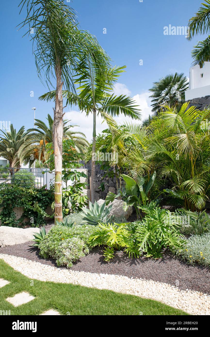 Tropical garden corner featuring palm trees and lots of luxuriant plants, with a neat stone path crossing through the well-kept grass Stock Photo