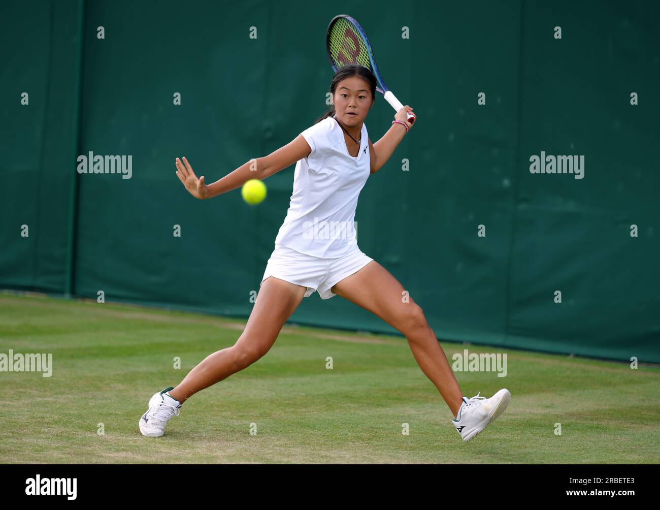 Wakana sonobe hi-res stock photography and images - Alamy