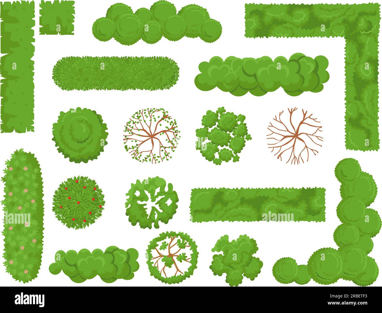 Conifers forest Stock Vector Images - Alamy