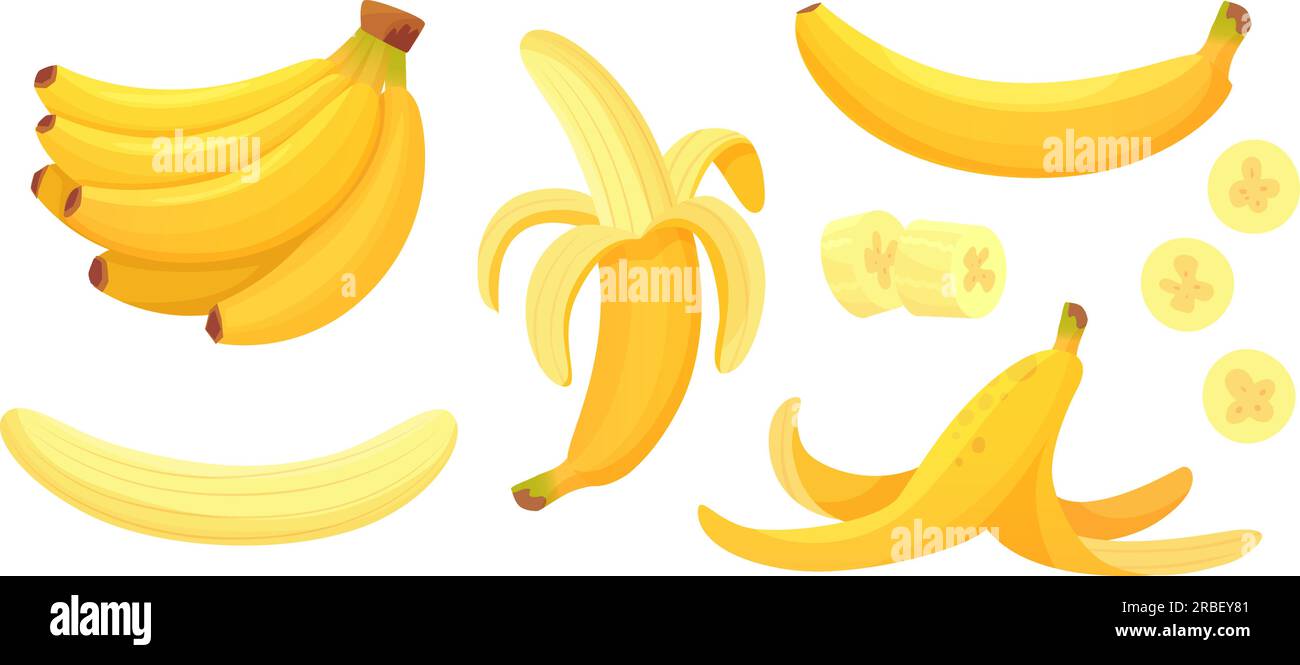 https://c8.alamy.com/comp/2RBEY81/cartoon-bananas-peel-banana-yellow-fruit-and-bunch-of-bananas-tropical-fruits-banana-snack-or-vegetarian-nutrition-isolated-vector-illustration-i-2RBEY81.jpg