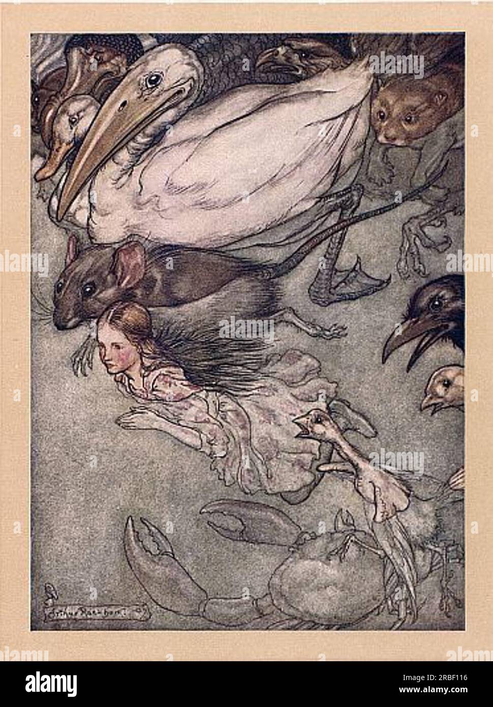 The Pool of Tears by Arthur Rackham Stock Photo - Alamy