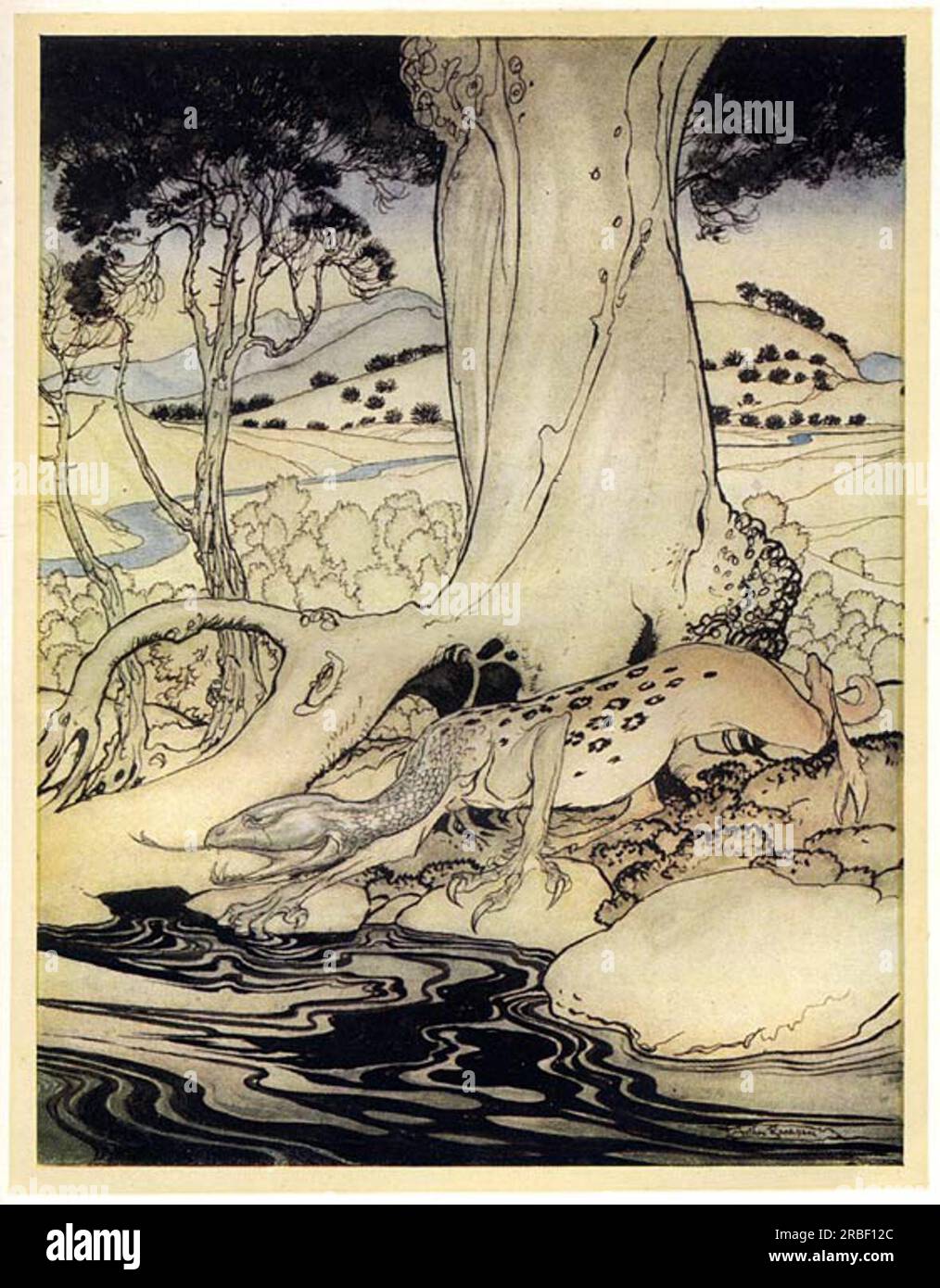The dragon in the woods near Dublin by Arthur Rackham Stock Photo - Alamy