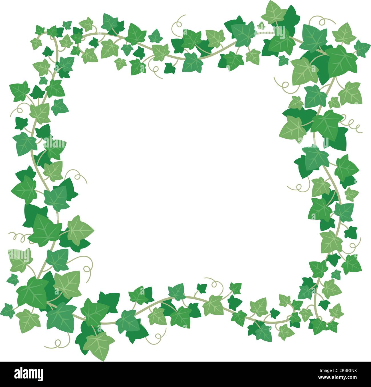 Vine ivy green leaves frame. Climbing plant lush greenery rectangular