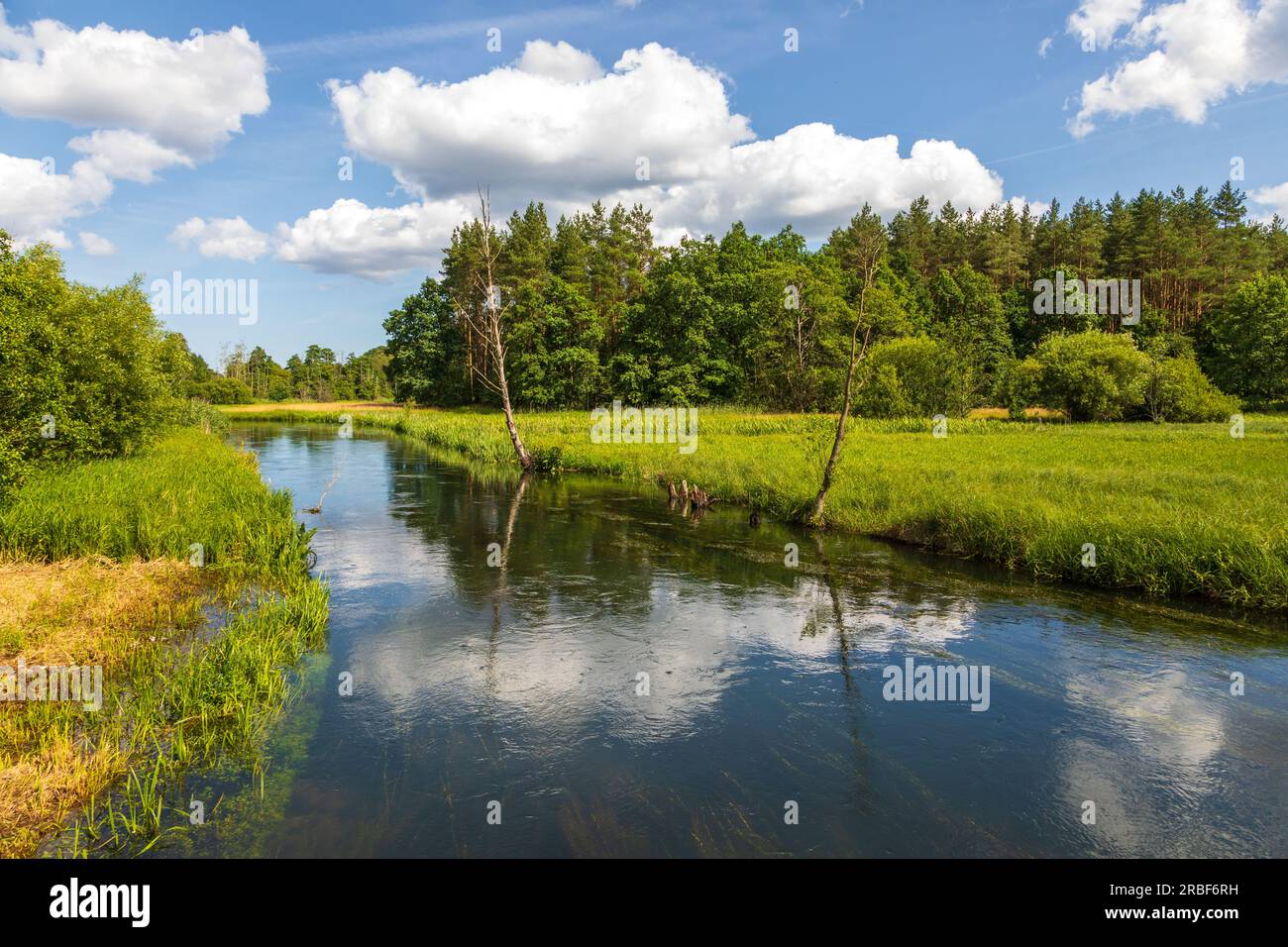 Radunia river flowing through the lakes. Forest around, summer season ...