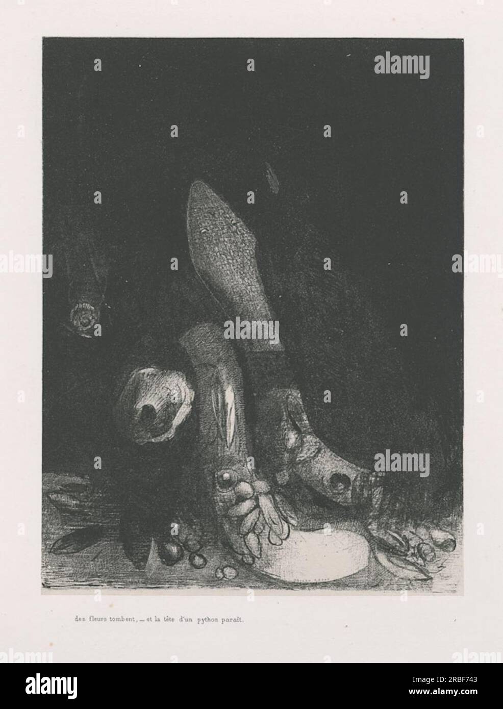Flowers fall and the head of a python appears (plate 5) 1896 by Odilon ...