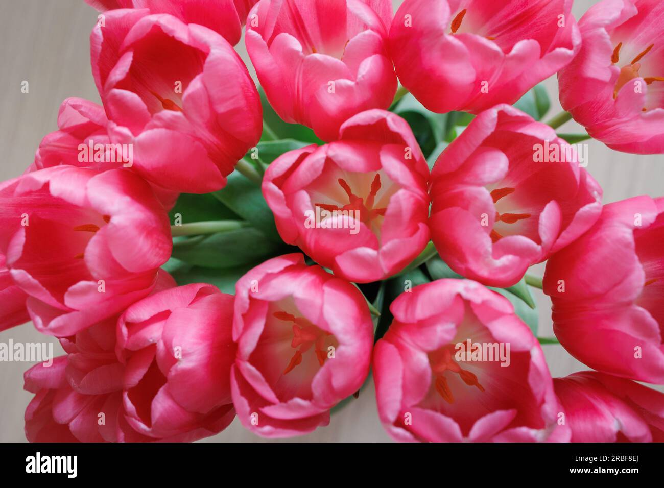 Pink Tulips Inside a Vase Taken from Above Stock Photo Alamy