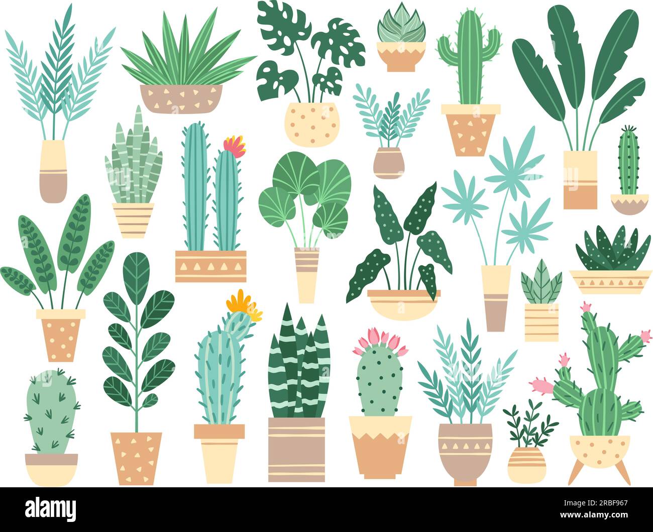 Home plants in pots. Nature houseplants, decoration potted houseplant